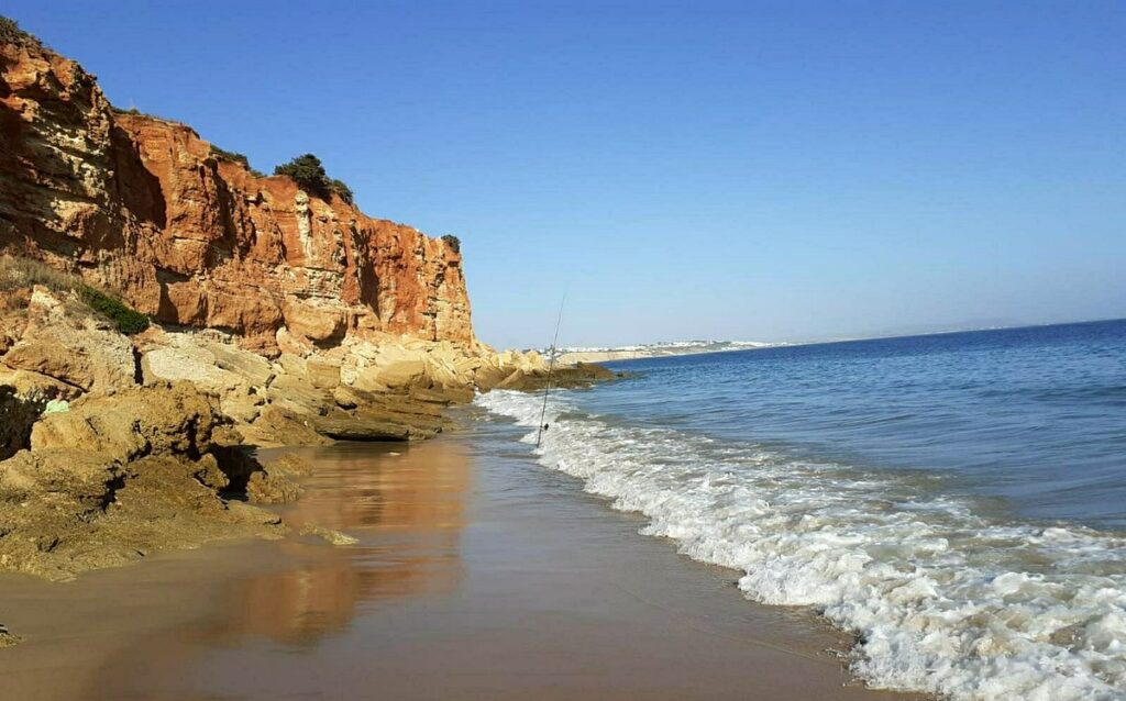 Aloha Cádiz - Cala del Aceite - Conil de la Frontera Aloha Cádiz - Cala del Aceite - Conil de la Frontera