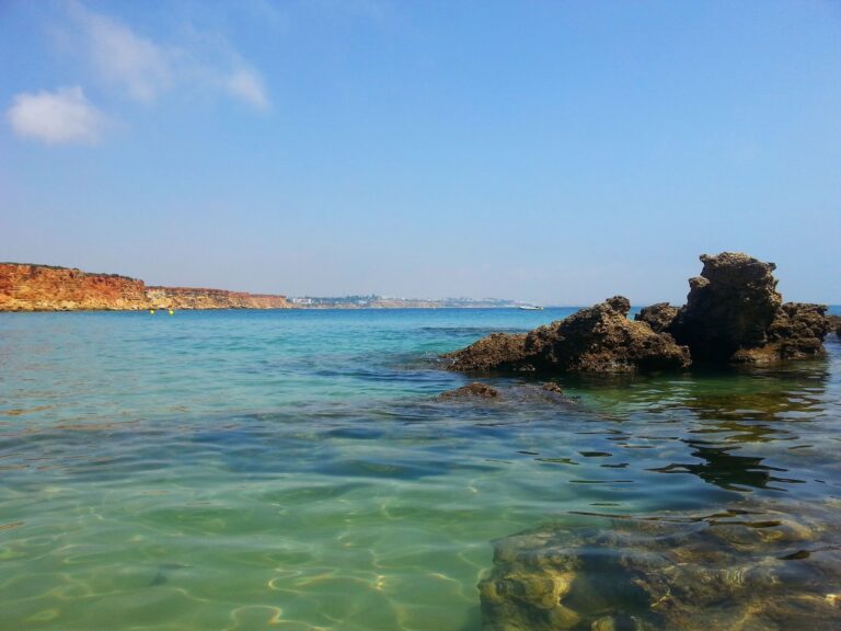 Aloha Cádiz - Cala del Aceite - Conil de la Frontera Aloha Cádiz - Cala del Aceite - Conil de la Frontera