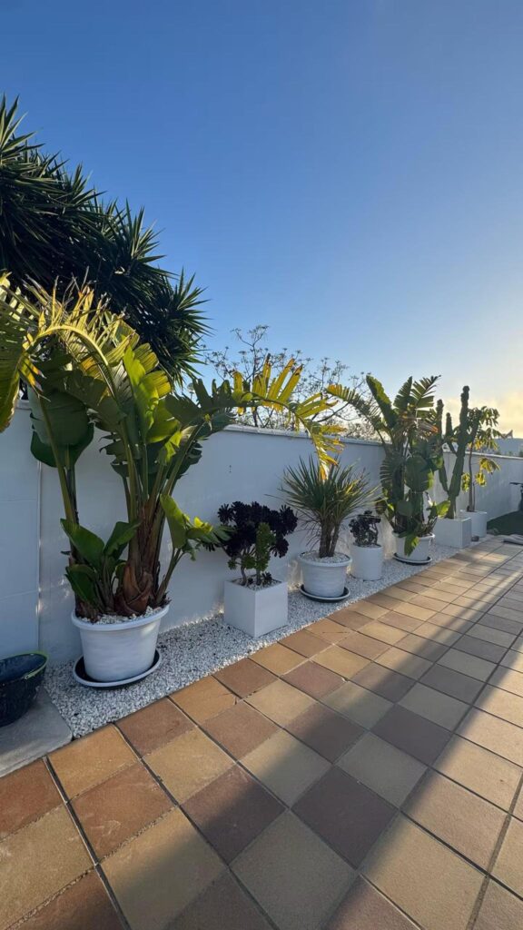 AlojaCádiz - Alojamiento en Conil - Chalet en Conil