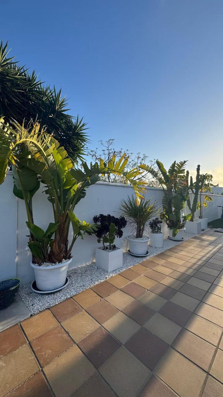 AlojaCádiz - Alojamiento en Conil - Chalet en Conil
